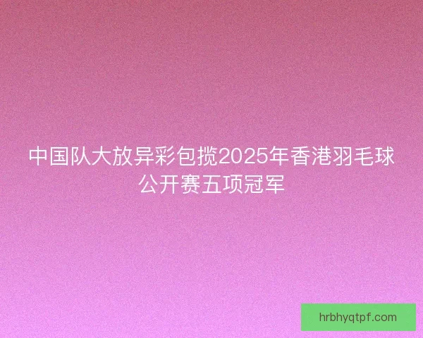 中国队大放异彩包揽2025年香港羽毛球公开赛五项冠军