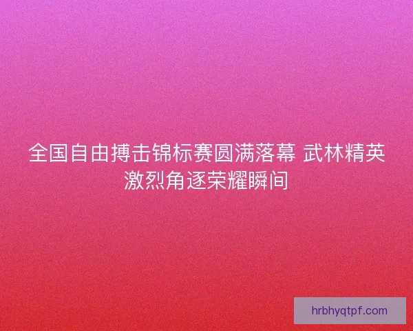 全国自由搏击锦标赛圆满落幕 武林精英激烈角逐荣耀瞬间