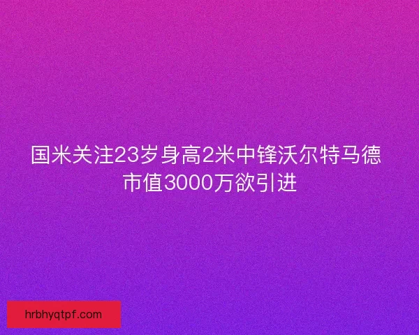 国米关注23岁身高2米中锋沃尔特马德 市值3000万欲引进 国米关注23岁身高2米中锋沃尔特马德 市值3000万欲引进